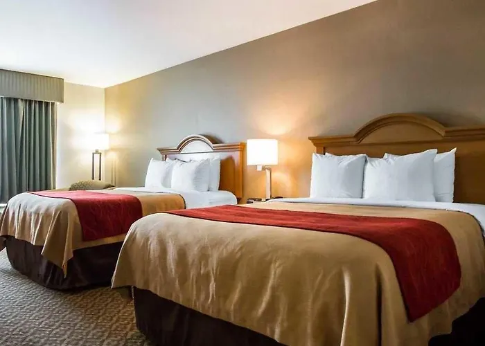 Hotel Comfort & Near Campbell Medical Center