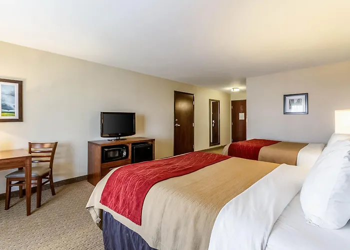 Comfort & Near Campbell Medical Center Hotel