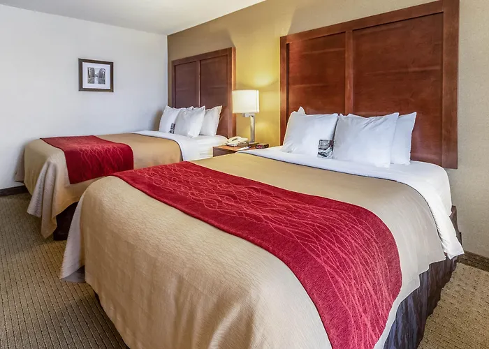 Comfort & Near Campbell Medical Center Hotel