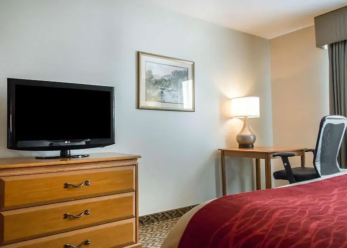 Comfort & Near Campbell Medical Center Hotel 4*