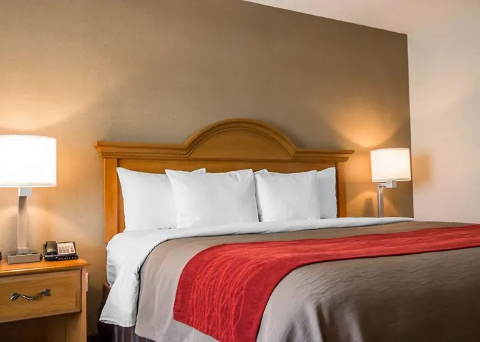Hotel Comfort & Near Campbell Medical Center