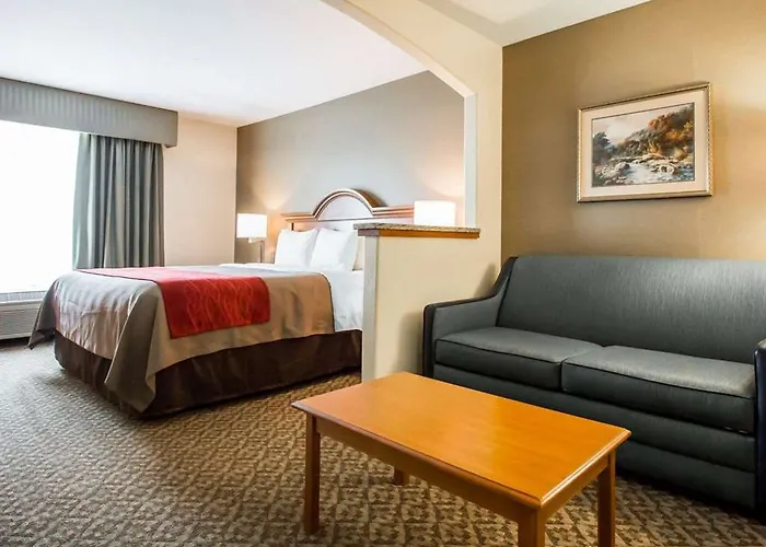 Comfort & Near Campbell Medical Center Hotel 4*