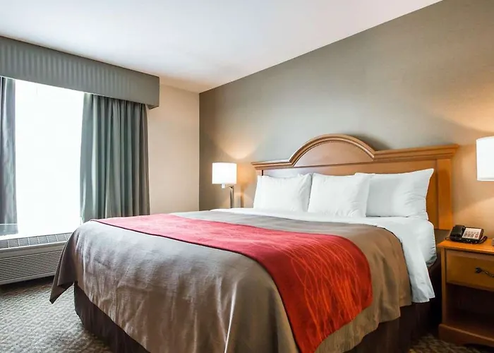 Comfort & Near Campbell Medical Center Hotel
