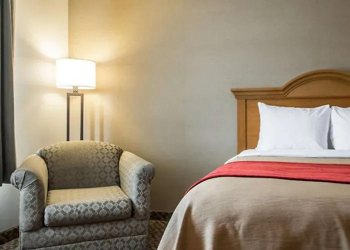Comfort & Near Campbell Medical Center Hotel