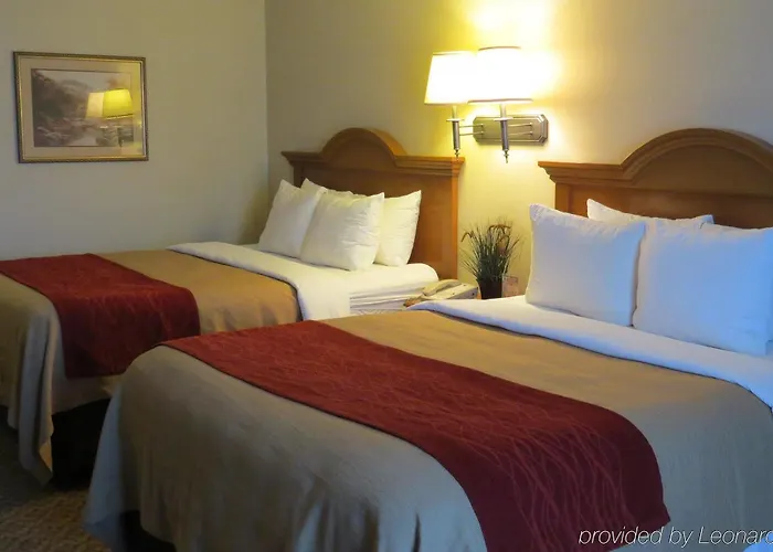 Comfort & Near Campbell Medical Center Gillette